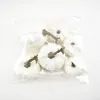 6 Pcs Halloween Blanc Citrouille Mousse Jouet Artificielle Mini Citrouille Simulation Prop Garden Party Décoration Y201015