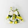 Atacado Lemon bebê menina vestido estilo de verão grande arco floral algodão de algodão moda moda roupas 0-2Y E8028 210610