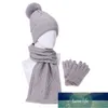 Women's Hat and scarf Gloves set three Pieces for Women Winter Kitted Wool hats for Girls Thick Warm Pom Hat scarf Glove Set Factory price expert design Quality Latest