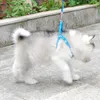 Hondenkragen ontleent kleine kat harnas riem verstelbaar vest kraag puppy outdoor wandeling chihuahua terier schnauzer accessoiresdog