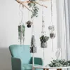 Macrame Wall Hanging Planter Hangers Air Plant Holder Holder شرفة زخرفة جدار زارع وعاء منسوجة سلة بوهيمية Makrama 210238M