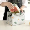 Sagni da esterno Portable Isolato Terma Cooler Bento Pranzo Bento Box Borsa per picnic Pagnello per la famiglia durante il fine settimana