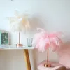 Neuheit Feder Nachtlicht DIY Kupfer Fee Schnur Tischbeleuchtung Lampe Batterie USB mit Fernbedienung für Zuhause Wohnzimmer Schlafzimmer Party Dekor