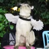 Costumes de chat costume de compagnie drôle halloween diable ange ailes chien cosplay cosplay parfait PO accessoires petits chaton vêtements