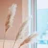 85-120 cm erba di pampa grande bouquet di fiori secchi naturali bianchi soffici per decorazioni di nozze per la casa in stile vintage boho 211023