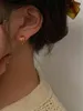 Earring luxe ontwerper 245 kleine vrouwen eenvoudige en onverschillige metalen geometrische oorbellen zilveren naald 2022 mode