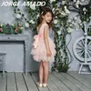 Groothandel kinderen jurken voor meisjes kant tule prinses meisje party trouwjurk met sjerp babykleding 1-6Y E1953 210610