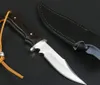新着小型サバイバルストレート狩猟ナイフ 440C サテンボウイ刃フル唐黒檀ハンドル固定刃ナイフ革シース