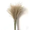 riktiga naturliga torkade blommor pampas gräs dekor växter bröllop torr fluffig härlig för fritidshus rre10714