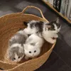 Cama para animais de estimação para gatos fontes mão tecida rattan macio cesta redonda ninho respirável esteira dormir cool 211111