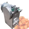 Hoge Kwaliteit Elektrische Slicer Machine Komkommer Wortel Kool Shredder Dinger Cutter Double Head Plantable Messen Maker