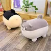 40cm pomyślny początek wypchanych zwierząt shiba inu pluszowe zabawki Anime Corgi Kawaii Pies Soft Pillow Prezenty dla chłopców dziewcząt