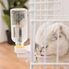 automatic cat dispenser