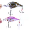 브랜드 Shad Crankbait Fly Fishing Lures 11cm 12.5g 큰 게임 라이브 타겟 MINNOW BAIT 낚시 태클 376 x2