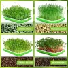 プラスチック水耕植栽トレイ、家庭用エンドウ苗植栽トレイ、豆もやし鍋、園芸用品210615
