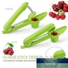 Fruit Olive Pitter Tool Seed Handheld Kitchen Fruit Remover Kit Machine Factory price expert design Quality Latest Style Original Status