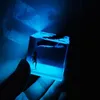 Night Lights Bedroom Decoration DIY Ocean Whale Humpback Resin Light Indoor Bedside Lamp Home Lighting Children's Fancy200O