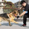 Trwałe trening psów Tug Zabawki Silne Rozciąganie Rzut do Owczarek Niemiecki Rottweiler Malinois Sprzęt Agility Do żucia Bite Zabawki 211111