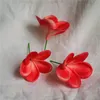 20 Plumeria Cake Toppers Real Touch Flower Blooms Wedding Decorations Bouquets Centerpieces artificial flowers 210706