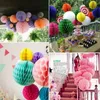 Honeycomb Ball Paper Lantern Ball Hanging Round Lamp Lantern Kid Birthday Party Wedding Christmas Decoration 15cm 20cm 25cm 30cm XVT0624