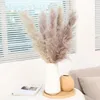 80cm Pampas Grass Natural Reed Wedding Dried Flower Large Ceremony Modern Home Decoration Valentines Day Fast Shipping