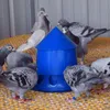 Altre forniture per uccelli Mangiatoia automatica per piccioni Distributore di alimenti per pollo in plastica da appendere 4,4/7,7/17,6 libbre .