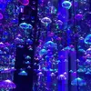 Jellyfish light Indoor Novelty Lighting Optical Fiber Color Changing 12V 20cm Jerry Fish Lamp Decoration Lights