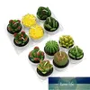 6PCs artificiella succulent växter Cactus Candle för familjekedjor Födelsedagsfest Bröllopsplats Dekorationer Candlelight Feast Factory Price Expert Design