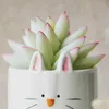Shistwell Nordic милый животных керамический цветочный горшок ежик кролик щенок спальни маленький цветочный горшок мини садин дом украшения дома 210615