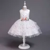 FocusNorm幼児の赤ちゃんガールズドレス2-8Y刺繍花姫姫ノルエスフォーマルパーティーウェディングチュールメッシュレースガウンドレスG1129