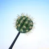 1PCS Cactus Plant fruit Car Antenna Pen Topper Aerial Ball Decor Toy Finding