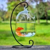aquarium de réservoir de poisson avec support