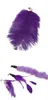 8PC Wymiana Cat Feather Toy Stick with Bell Teaser Wand Pet Citten Interactive Chochew Road Fishing Road 211122