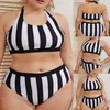 plus size bikini-set