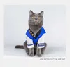 Cat Costumes Autumn And Winter Four Seasons Taekwondo Suit Dog Pet Clothes