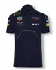 Camisetas masculinas F1 Fórmula 1 Camisetas Competição Audiência Camiseta Equipe Polo Camisa Verstappen Estilo de Corrida Roupas de Trabalho Camisetas de Equitação U6qn2273