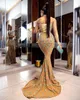 2023 Plus Size Arabic Aso Ebi Gold Mermaid Prom Dresses High Neck Lace Beaded Evening Formal Party Second Reception Gowns Birthday Dress ZJ114