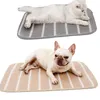 non slip dog mat