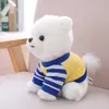 Sevimli Köpek Peluş Oyuncak Saf Beyaz Mavi Şerit T-Shirt Gizli Pomeranian Doggy Dolması Hayvan Evcil Hayvanlar 25 cm Küçük Çocuklar Hediye 210728