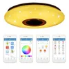 Bluetooth Music Led Ceiling Chandelier Star Point Lights 24W 36W 60W Remote Control Colorful LED Color Changing Light