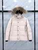 En Kaliteli Erkek Aşağı Ceketler Veste Homme Açık Kış Giyim Büyük Kürk Kapüşonlu Palto Fourrure Manteau Mont Hiver Parkas