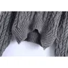 Evfer Women Autumn Fashion Stickad Za Grey Turtleneck Pullover Toppar Kvinna Casual Långärmad Kort Tjock Tröjor Tjejer Jumpers Y1110