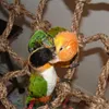 Other Bird Supplies Net Climbing Hook Hammock Toys Toy Parrot With Rope Hanging Swing Chewing Stand Biting3929029