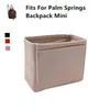 Çanta Organizatör Palm Springs Mini Sırt Çantası Lüks Bag Tasarımcı Çanta İç Kozmetik Palmiye Ekleme 2111269701531