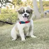 Collari per cani Guinzagli Collo Tela esterna Collare resistente Addestramento anti-smarrimento regolabile con fibbia Protezione per animali domestici Cinturino stampato