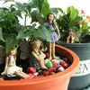 Jardim de fadas - 6 pcs Fadas em miniatura Acessórios de figurinhas para decoração ao ar livre ou de casa suprimentos de jardim de fada 210811