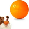 floating dog toys