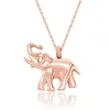 Elephant Cremation Jewelry for Ashes Stainless Steel Pendant Keepsake Holder Ashes for Pet Human Memorial Funeral Urn Necklace for Men Women