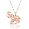 Bijoux de crémation d'éléphant pour cendres, pendentif en acier inoxydable, porte-souvenir, cendres pour animaux de compagnie, collier d'urne funéraire commémorative humaine pour hommes et femmes