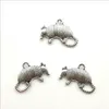 Lot 100 stks Armadillo Animals Alloy Tibetaanse zilveren hangers Charms voor sieraden maken armband ketting oorbellen DIY 19 * 14mm